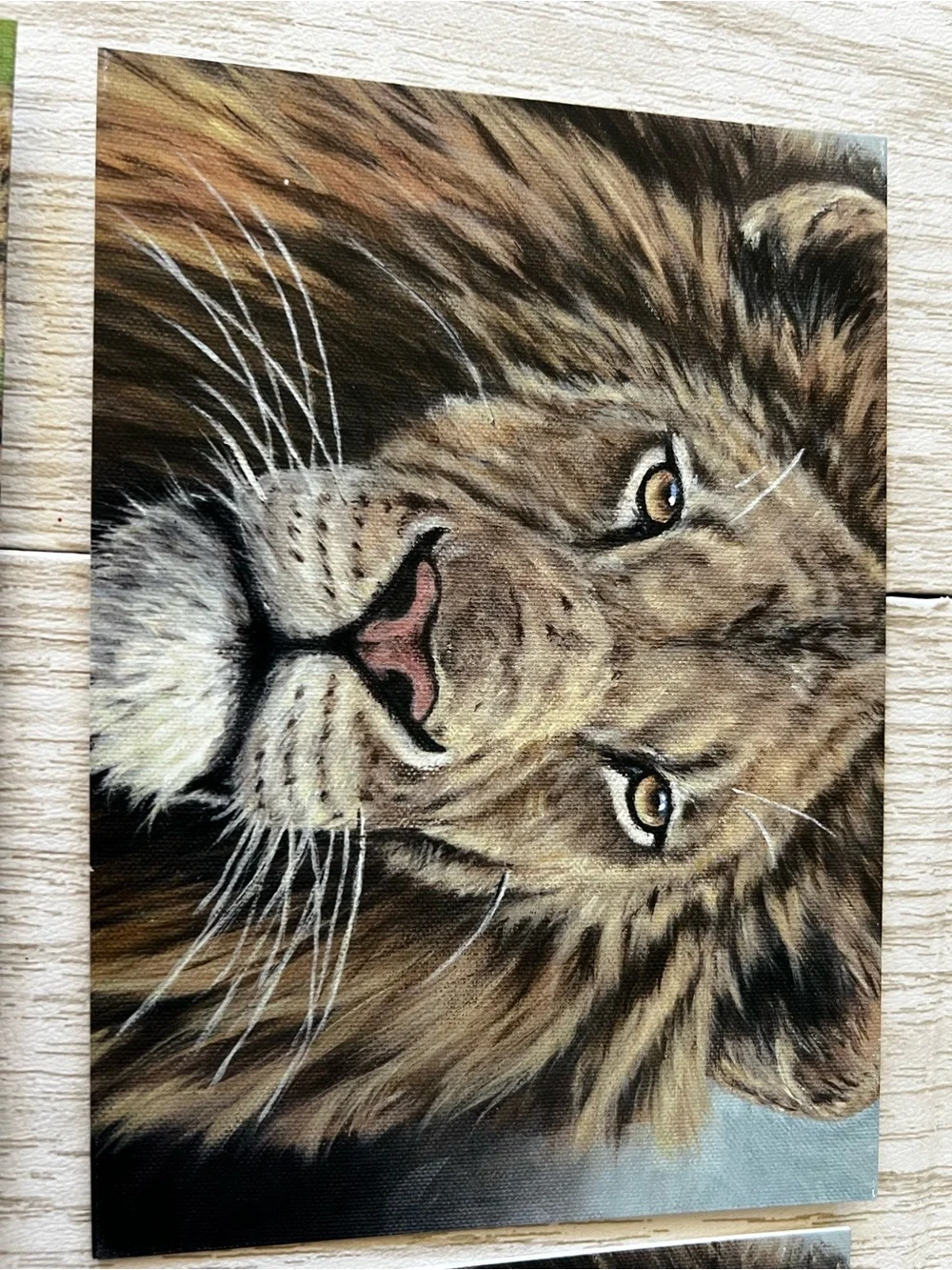 Set of 5 African Cats Print Notecards Stationary from Oil Paintings